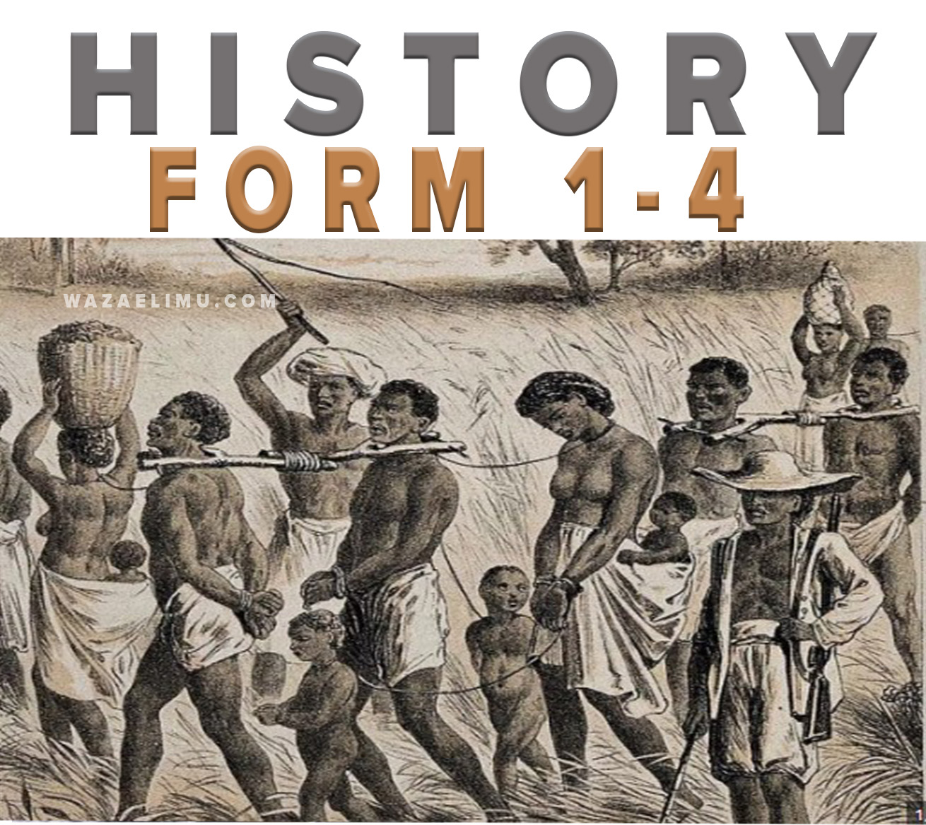 HISTORY NOTES FORM 1, 2 ,3 And 4 | Tanzania Syllabus